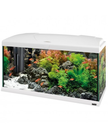 CAPRI 80 LED - 100 L sur le site 