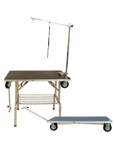 Table Pliable avec Roues Intégrées - 2 en 1 Trolley Expos Venez découvrir notre 