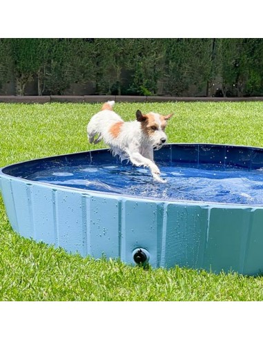 Piscine pour chien (3 tailles au choix) Par le système avancé 