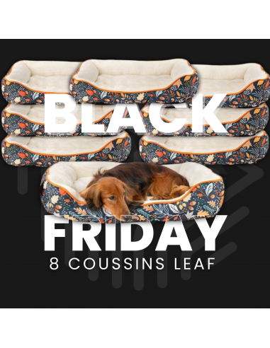 8 Coussins LEAF II BLACK FRIDAY II les muscles