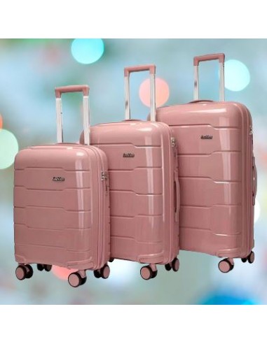 LuggageSet™ - Rose Pour