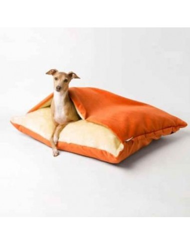 DogHaven™ - Orange la chaussure