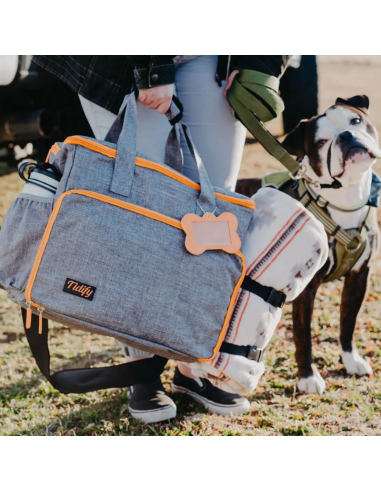 Sac de voyage et ses accessoires pour chiens pas cher