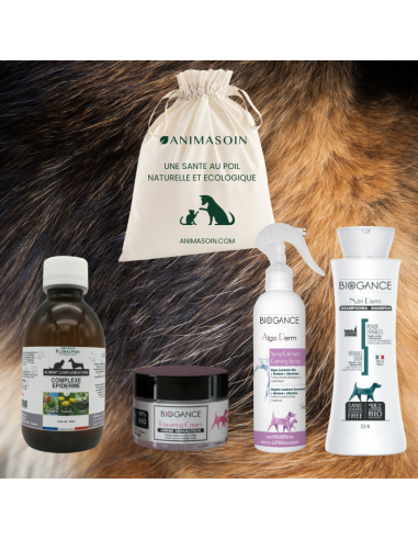 Coffret Soin Epiderme - Irritations cutanées -  chien ou chat est présent 