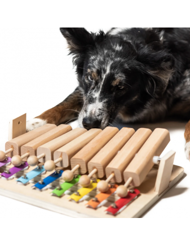 Le Jeu Piano pour chien ou chat - My Intelligent Pets s'inspire de l'anatomie humaine